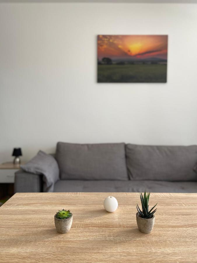 Grand Studio Confortable Et Spacieux Avec Terrasse Вильнев-ле-Магелон Экстерьер фото